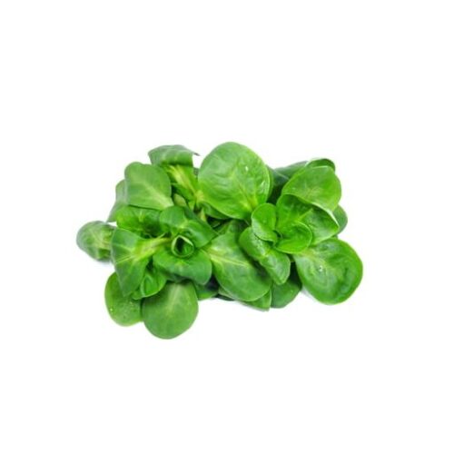 Mâche (1 kg)