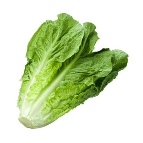 Laitue Romaine (1 piece)