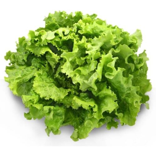 Salade Verte (1 piece)