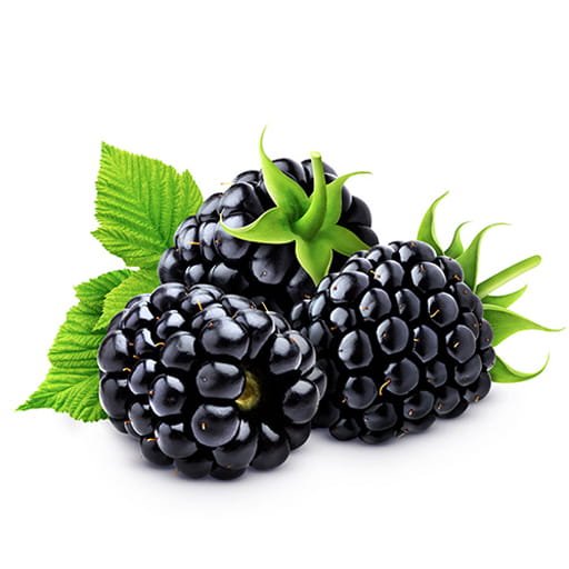 Mûre (1 kg)