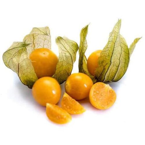 Physalis (1 kg)