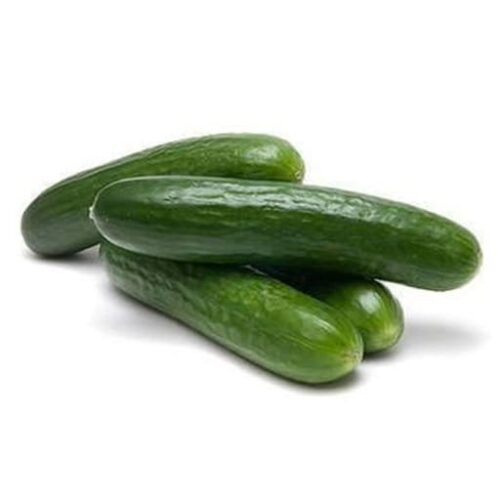 Concombre (1 kg)