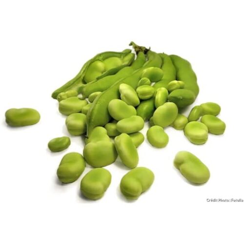 Fève (1 kg)