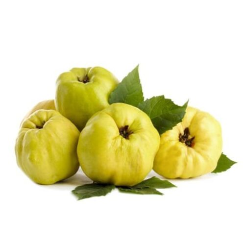 Mini Coing (1 kg)